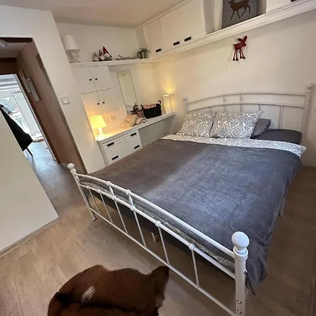 Holiday home House Buxusson Ceske Budejovice