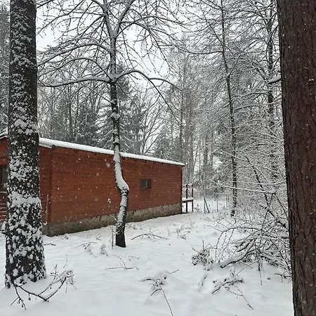 House Buxusson * 捷克布杰约维采