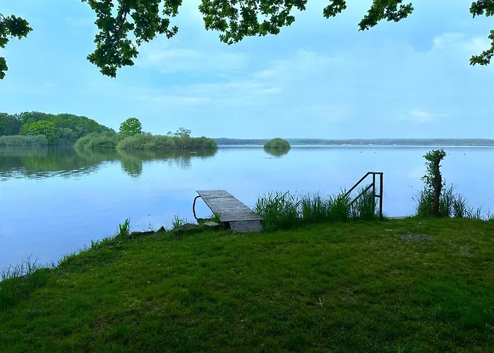 House Buxusson 펜션