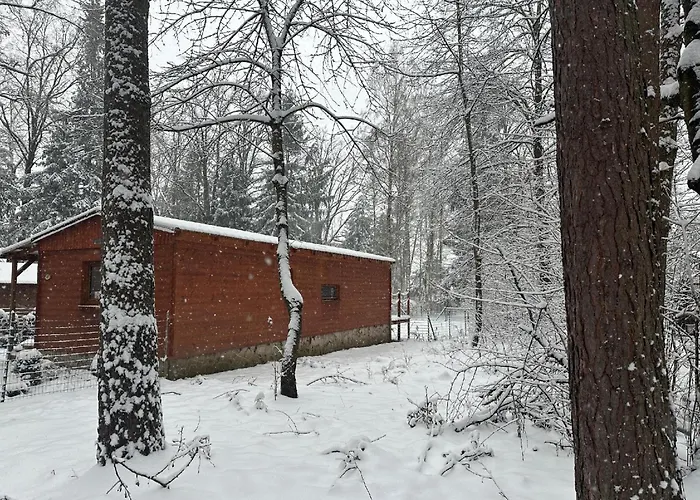 House Buxusson * צ'סקה בודיוביצה